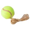 1 Tennisbal met elastiek v.tennistrainer