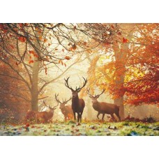 Puzzel Stags,Magic For.1000 Heye 29805
