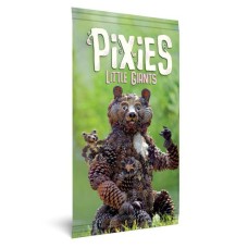 Pixies - Little Giants uitbr.NL
* Pre-order *