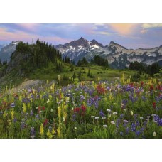 Puzzel Tatoosh Mountain 2000 Heye 29903